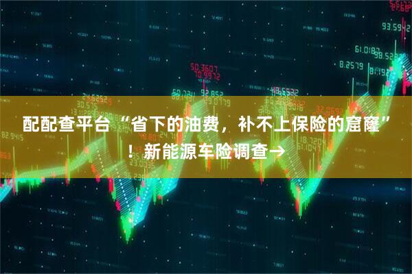 配配查平台 “省下的油费，补不上保险的窟窿”！新能源车险调查→