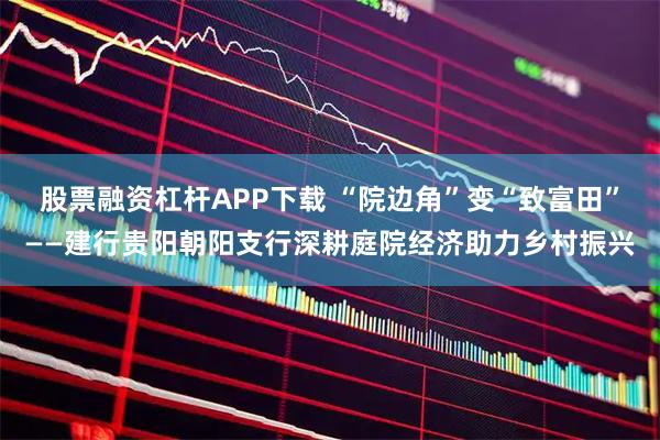 股票融资杠杆APP下载 “院边角”变“致富田”——建行贵阳朝阳支行深耕庭院经济助力乡村振兴