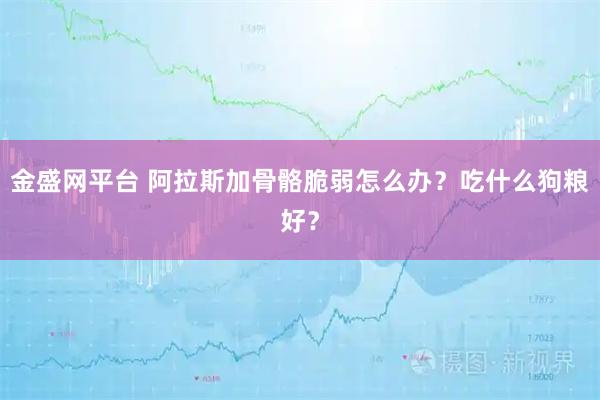 金盛网平台 阿拉斯加骨骼脆弱怎么办？吃什么狗粮好？
